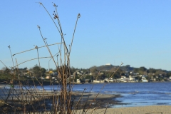 Playa Puntas Yeguas